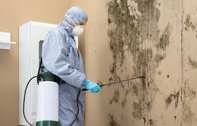 Why You Should Choose Our Mold Remediation Services in Arnold Line, MS